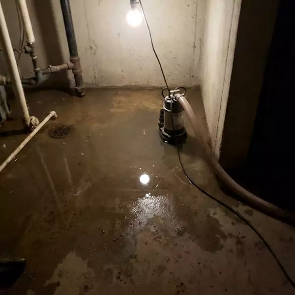 Basement Flood Clean Up in Coconut Creek, FL