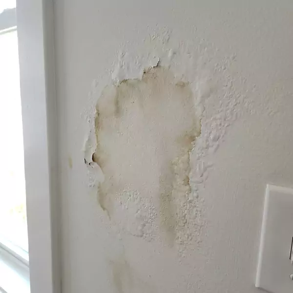 Expert Drywall Water Damage Repair in Coconut Creek, FL