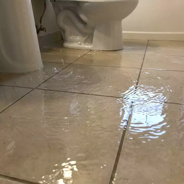 Expert Flooded Bathroom Restoration in Coconut Creek, FL 