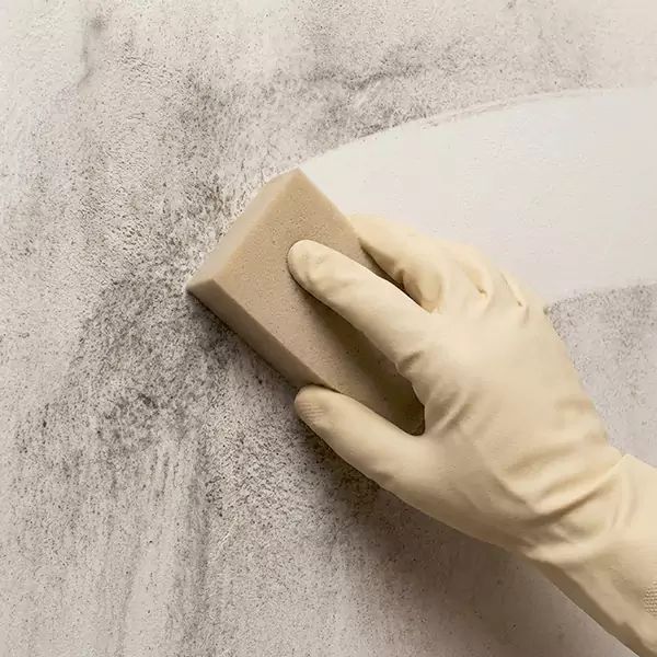 Smoke Cleaning in Coconut Creek, FL 