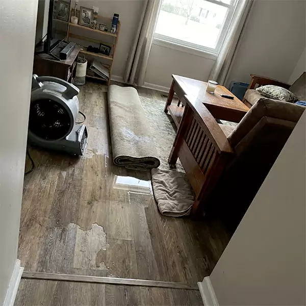 Water Restoration in Coconut Creek, FL