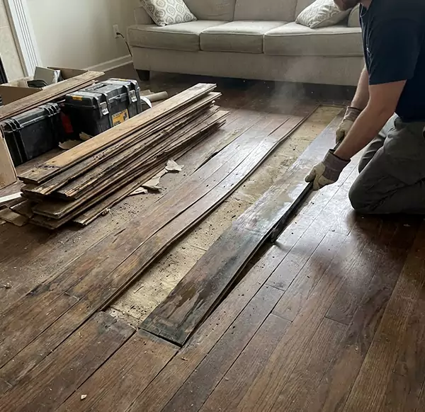 Why Choose Coconut Creek Water Restoration for Wood Floor Water Damage Repair in Coconut Creek, FL?